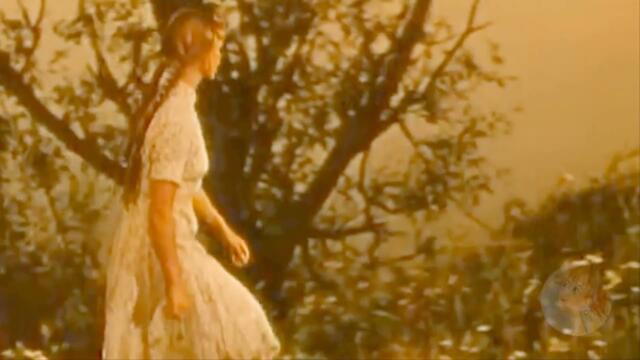 Любовь Лазарева  -  Я любил одну милую