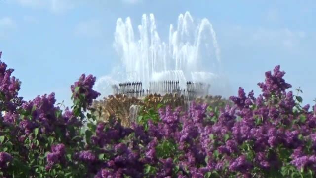 Пробуждение. Сергей Чекалин.