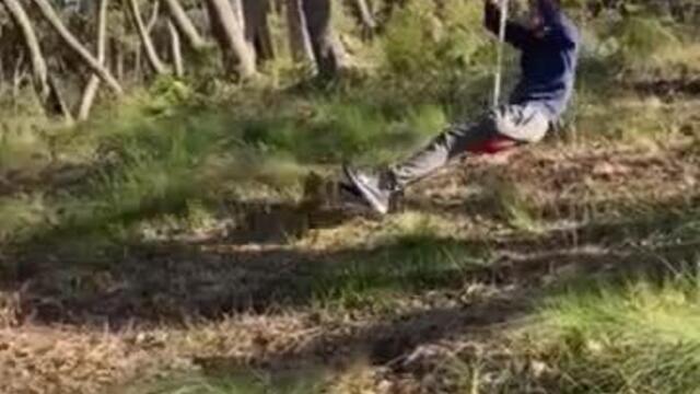 Person Bumps Into Tree While Zip Lining