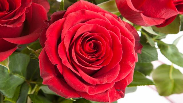 Самая красивая мелодия в мире! Эту музыку можно слушать вечно! Отличная музыка Сергей Грищук