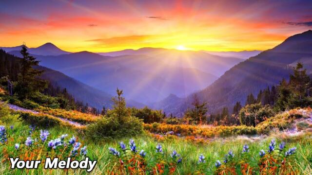 Самая красивая мелодия в мире расслабляет нервную систему🌿 Сергей Грищук