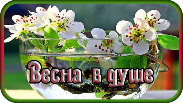 Музыка Павел Ружицкий    -    "ВЕСНА В ДУШЕ"