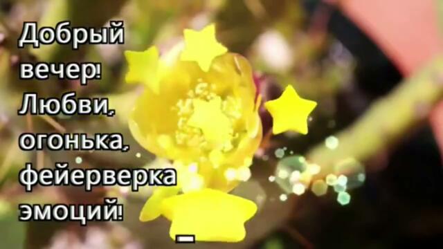 Добрый  вечер!     Алиса  Мон   -   Я  Люблю  Тебя