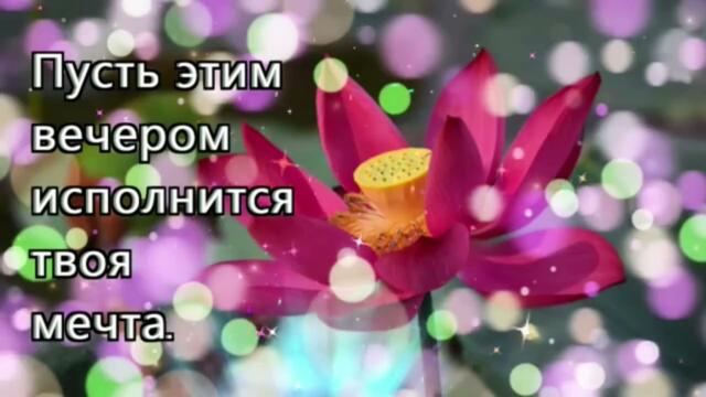 Добрый  вечер!     Алиса  Мон   -   Ты