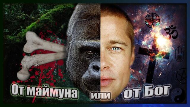 От Бога или от МАЙМУНАТА? - Цанов напред и нагоре