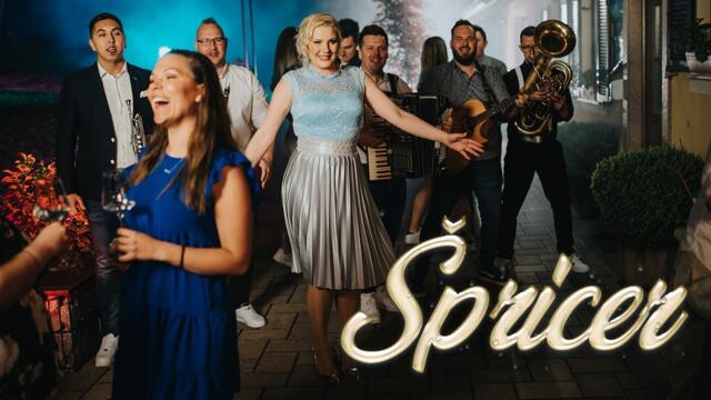 VESELI SVATJE - ŠPRICER (Official 4K Video)