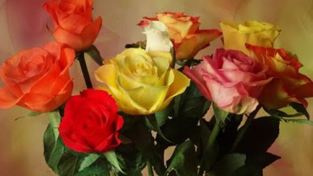 Андрей Шпехт - Эти  розы только для тебя!