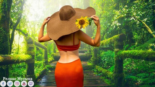 Вальс Дождя! Лечебная Музыка для Снятия Стресса, Усталости, Депресии, Детокс негативных эмоций