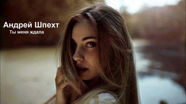 Андрей Шпехт ✮ Ты меня ждала