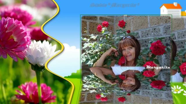 Моя любимая Россия с красивыми полевыми цветами