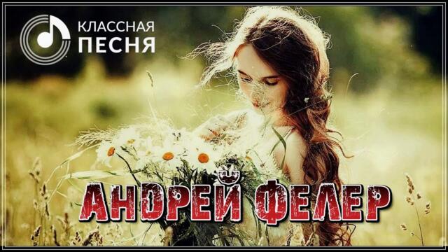 Андрей Фелер   -    ТЫ МЕНЯ НЕ ЛЮБИЛА