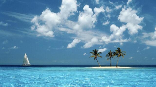 Тропический рай. Сергей Чекалин.