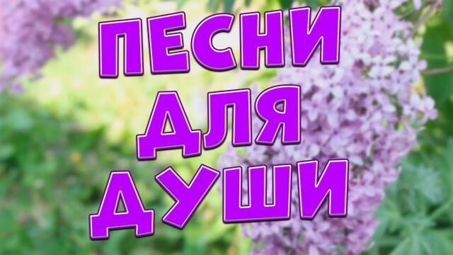 Заходи и Отдыхай! Здесь самые Лучшие песни!