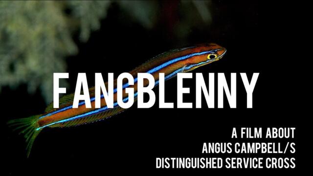 Fangblenny - A Film About Angus Campbell's DSC