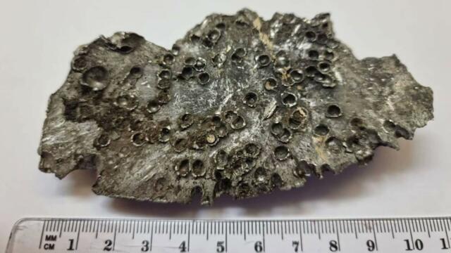 Западните делегации напуснаха залата по време на показването на части от HIMARS на форума на ОССЕ