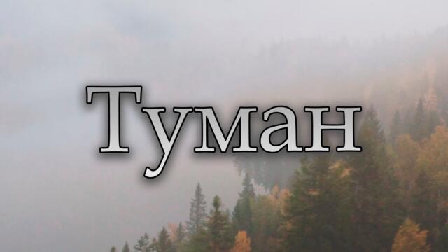 Сергей Одинцов - Туман