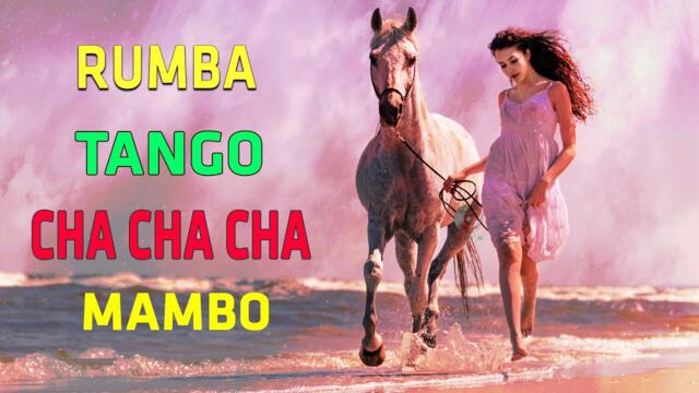 Romantic Spanish Guitar Melodies / RUMBA / CHA CHA / TANGO/ MAMBO / Best Relaxing Instrumental Music