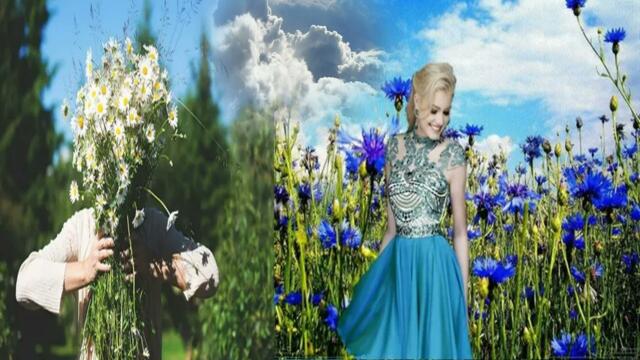 исп.Валерий Палаускас- Полевые цветы