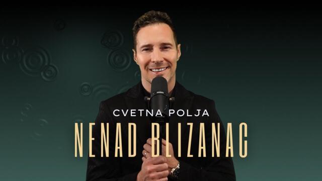 NENAD BLIZANAC - CVETNA POLJA (arranger version)