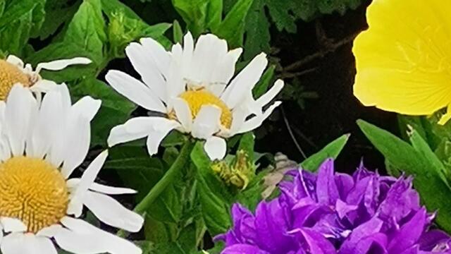 Море грёз, мечтаний и воспоминаний...