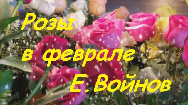 Евгений Войнов - РОЗЫ В ФЕВРАЛЕ