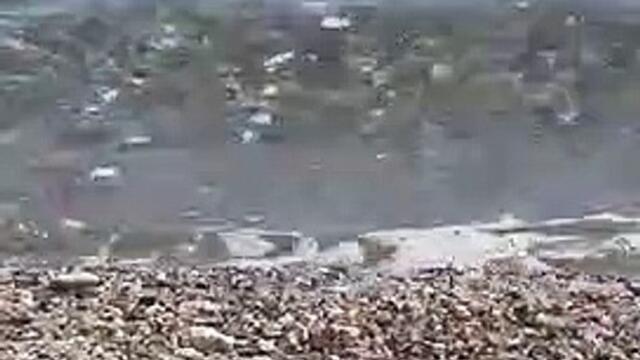 Squalo a pochi metri dalla riva, paura tra i bagnanti a Oliveri. Ma è una verdesca innocua