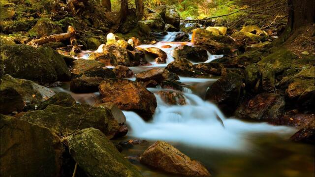 лечебная музыка для сердца и сосудов 🌿 Нежная музыка, успокаивает нервную систему и радует душу