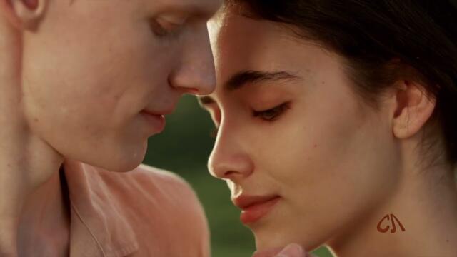 Александр Галлицкий   -   Проходят дни...