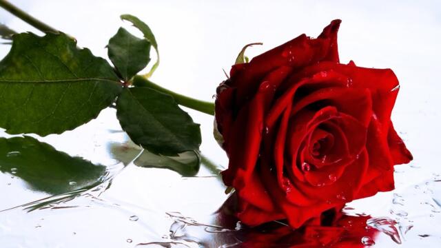 Евгений Рожков ♫ Этот Нежный Дождь ♫ Вдохновляющая Романтическая Музыка