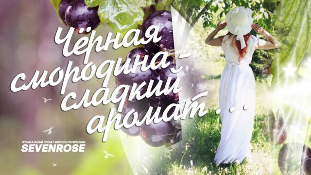 SEVENROSE  -   ЧЕРНАЯ СМОРОДИНА - сладкий аромат  SEVENROSE