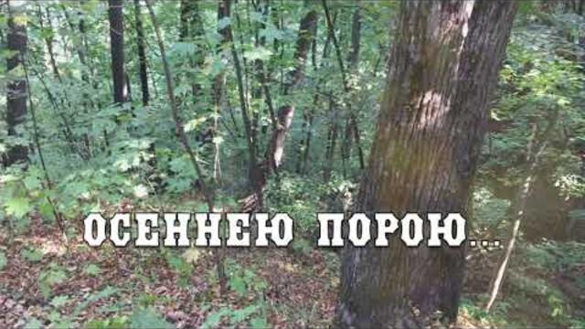 Осенней Порою под Красивую и Нежную Мелодию Эдгара Туниянца!