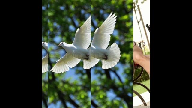 Евгений Путилов    -   Лучшие хиты