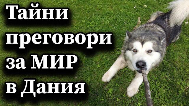 Тайни преговори за мир в Дания - А. Сивилов