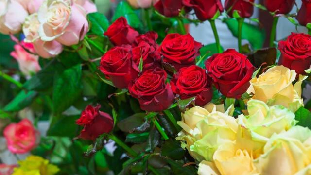 Самая красивая мелодия в мире! Эту музыку можно слушать вечно! Отличная музыка Сергей Грищук