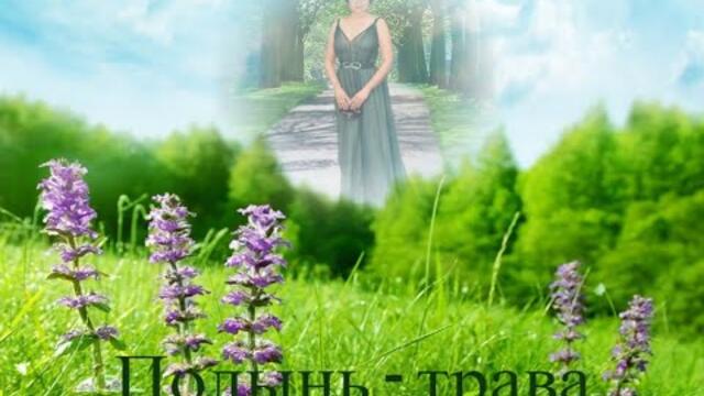 Валерий Семин - Полынь  трава