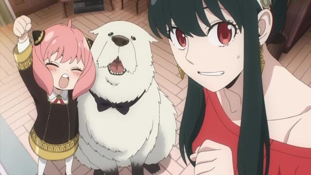 spy x family code white teaser