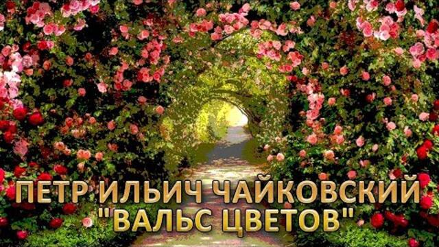 Петр Ильич Чайковский  -  «Вальс цветов».