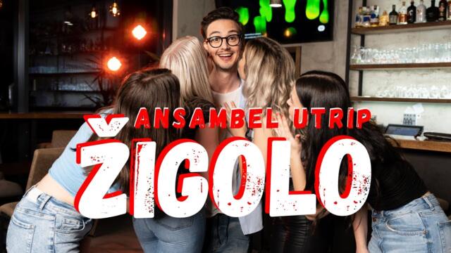 Ansambel Utrip - 2023 - Žigolo (Official Video)