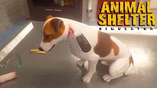 This HEARTBREAKING Game is Impossible | Animal Rescue & Adoption Sim | Animal Shelter Simulator