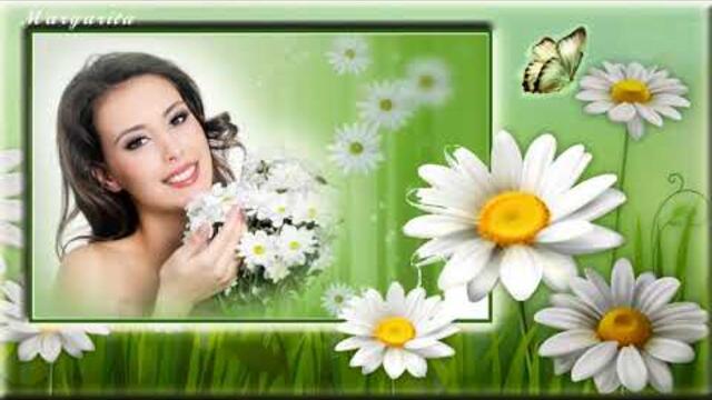 Ой ромашки Ромашки полевые цветы Помогите Наташке разобраться в любви