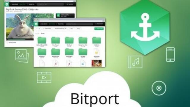 How to download torrent files fast with Bitport