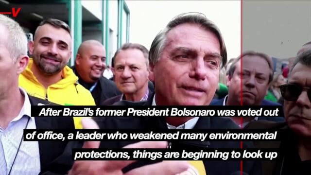 After Ousting Bolsonaro Amazon Deforestation Drops Dramatically Under New President