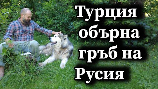 Турция обърна гръб на Русия - А. Сивилов, Димна завеса