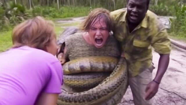 20 DEADLIEST Snake Encounters Caught On Camera