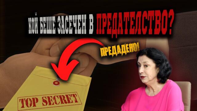 Това са си ПРЕДАТЕЛСТВА – в прав текст! /Какво ядоса журналистката Зорница Илиева?/