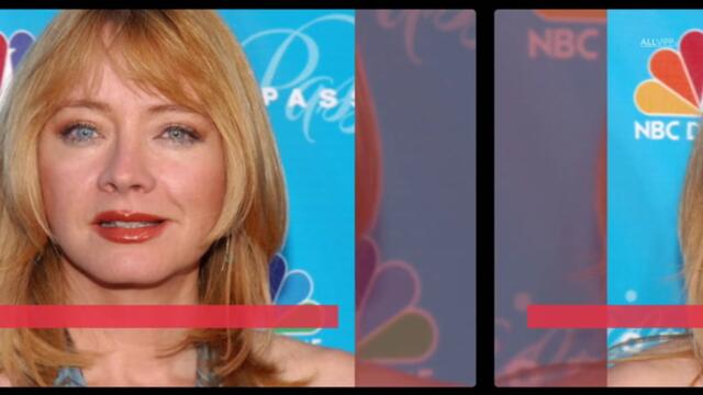 'Young and the Restless' Star Andrea Evans Dead At 66