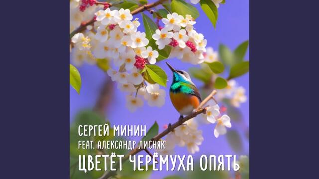 Сергей Минин · Александр Лисняк   -    Цветёт черёмуха опять
