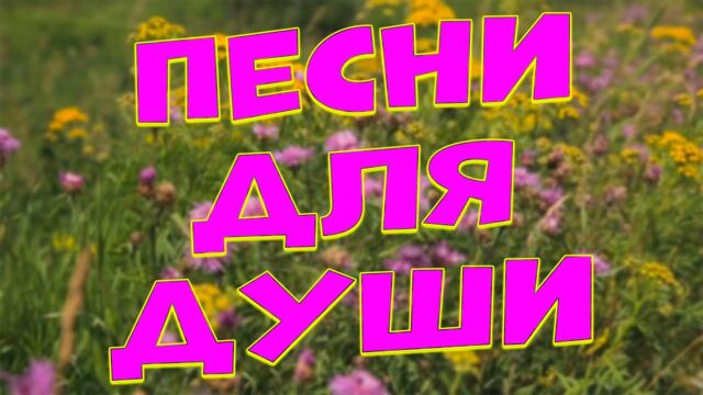 Сергей Одинцов /  Заходи и Отдыхай душой! Здесь самые Лучшие Песни!