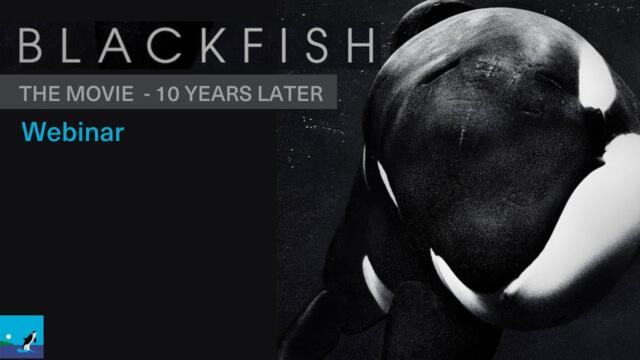 Blackfish Movie ... 10 Years Later, Much Has Changed ... More to Go