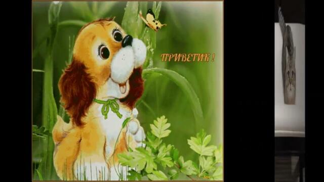 Андрей Куряев  -  По красоте